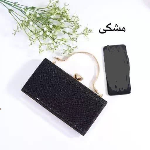 کیف مجلسی